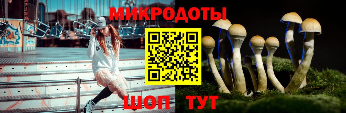 Псилоцибиновые грибы Cubensis  Псилоцибиновые грибы ЛСД  Вход с VPN  Керчь 